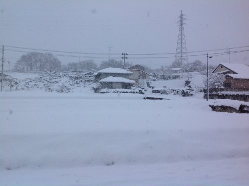大雪　約30センチの積雪でした.jpg