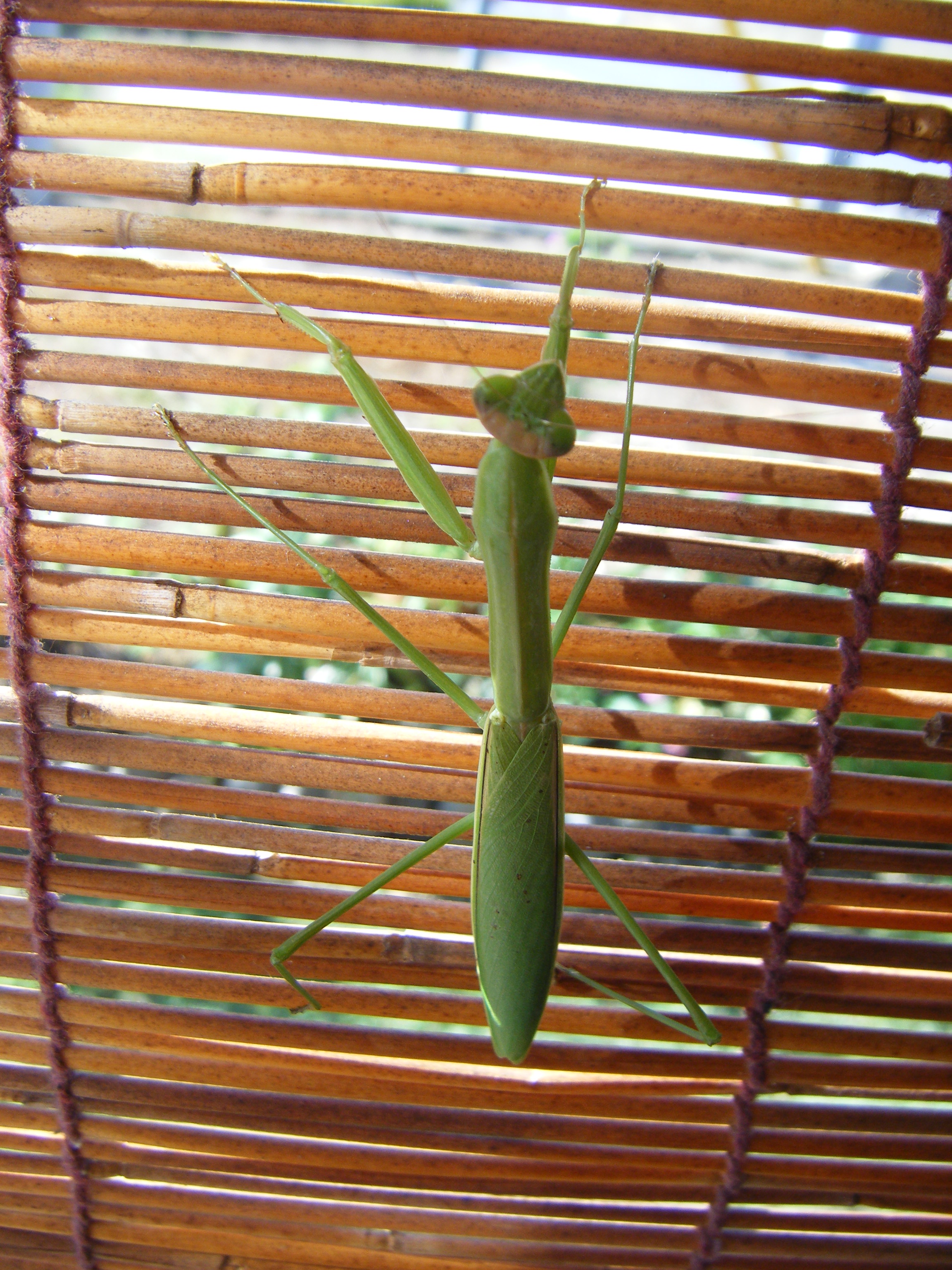 DSCF0767.jpg
