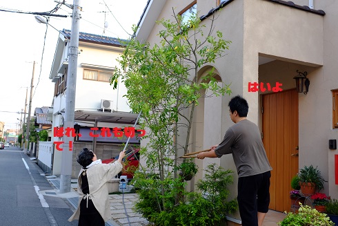 DSCF0683.JPG