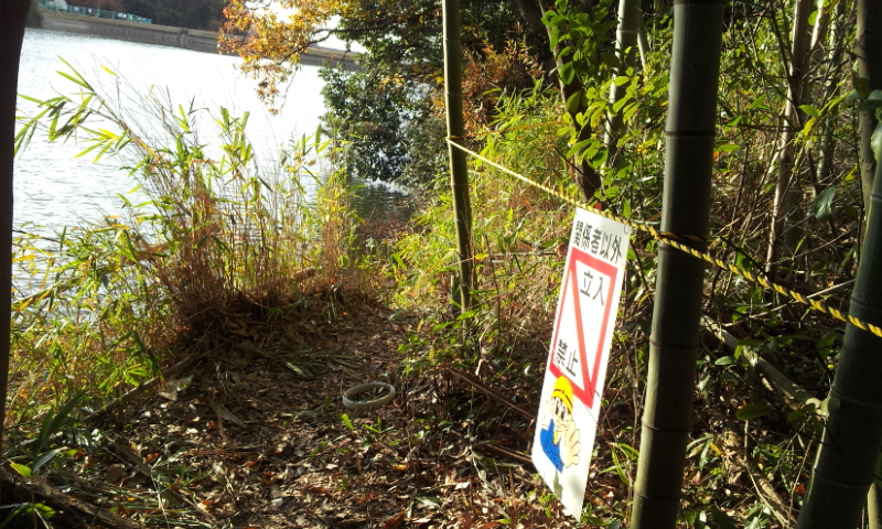 C:\fakepath\2012-12-12 15.10.20[1].jpg