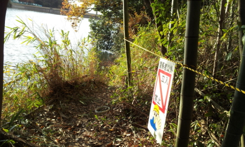 C:\fakepath\2012-12-12 15.10.20[1].jpg