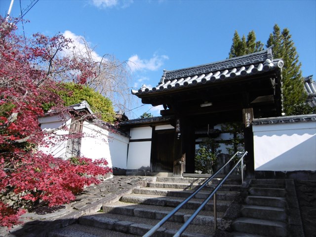 P1270291.JPG