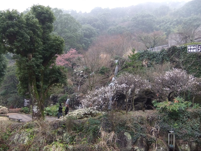熱海梅園梅祭り４20120318 - コピー.JPG