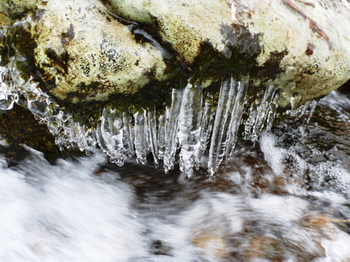 片品川氷柱5.jpg