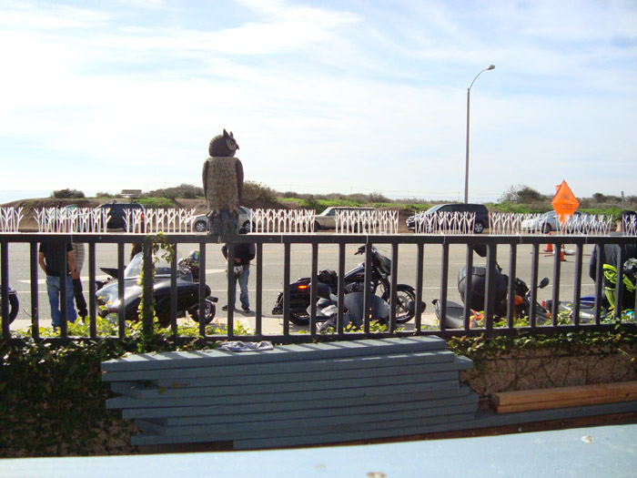DSC03590.JPG