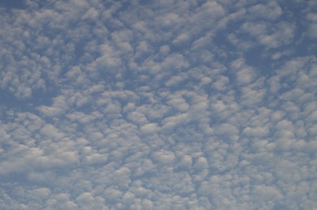 _DSC3159.JPG