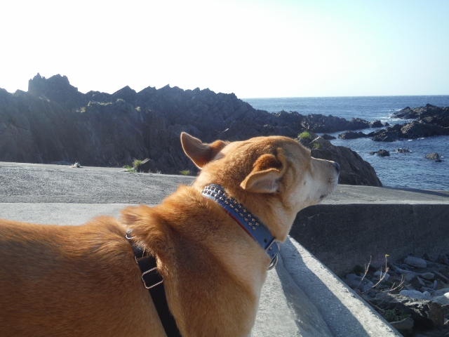 DSCF7180 (640x480).jpg