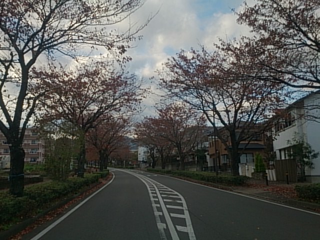 20181123  DSC_0001.jpg