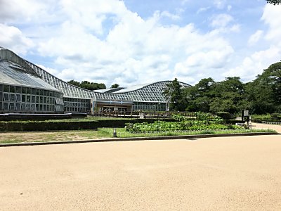 京都府立植物園2.jpg