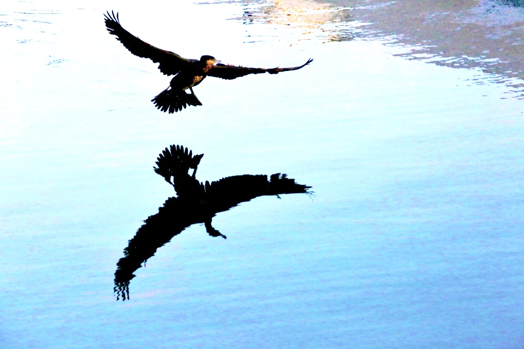 B97A6309 (1024x683).jpg