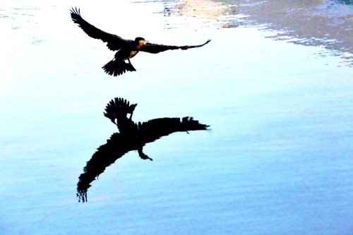 B97A6309 (1024x683).jpg