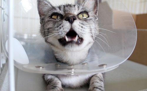 お母さん (24).JPG