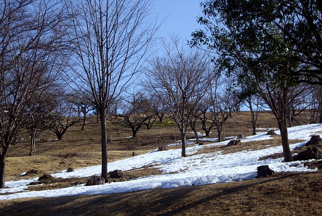 0223-3.jpg