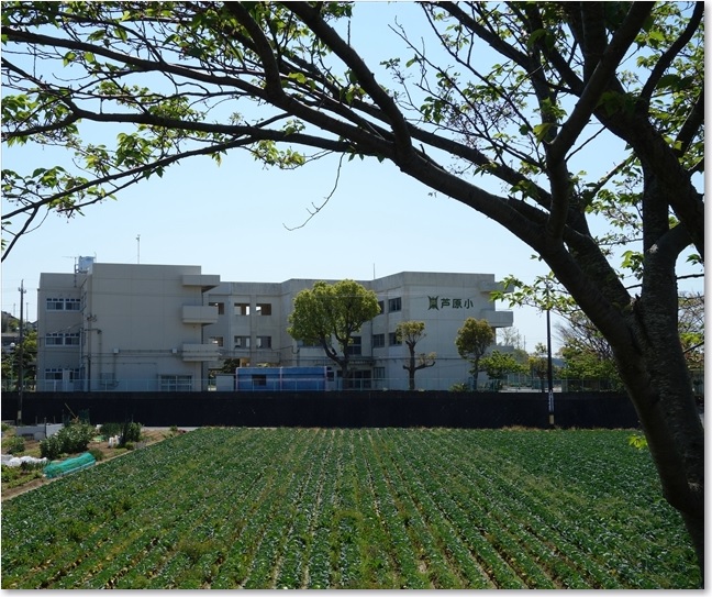 04芦原小学校