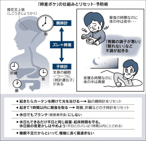 体内時計乱れ2.jpg