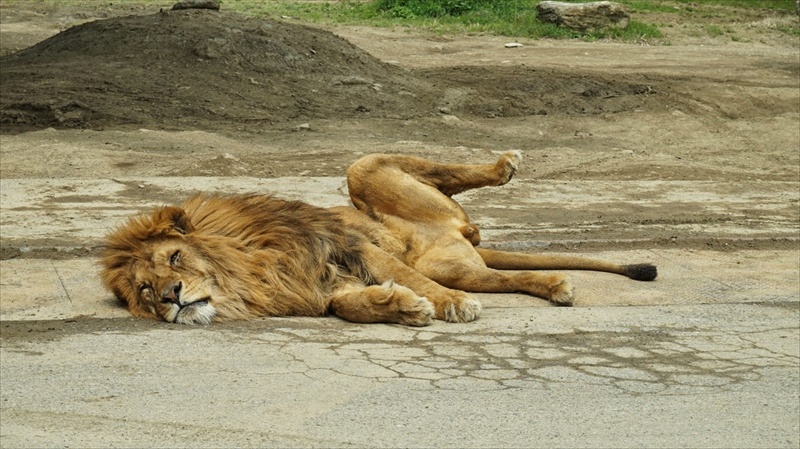 20150420 12202801.JPG