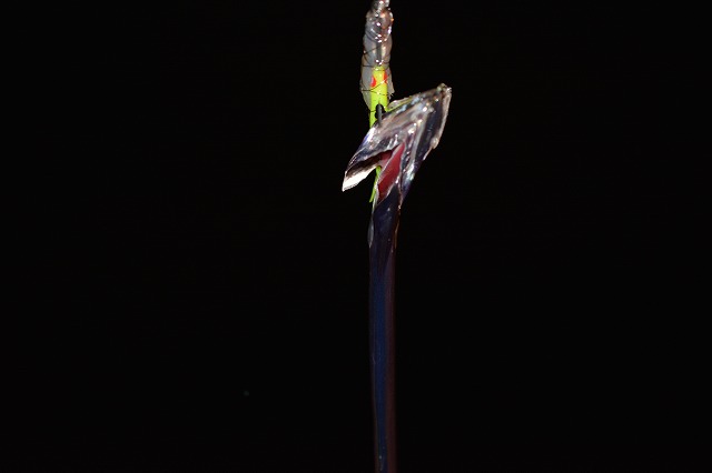 showPhoto (640×426)