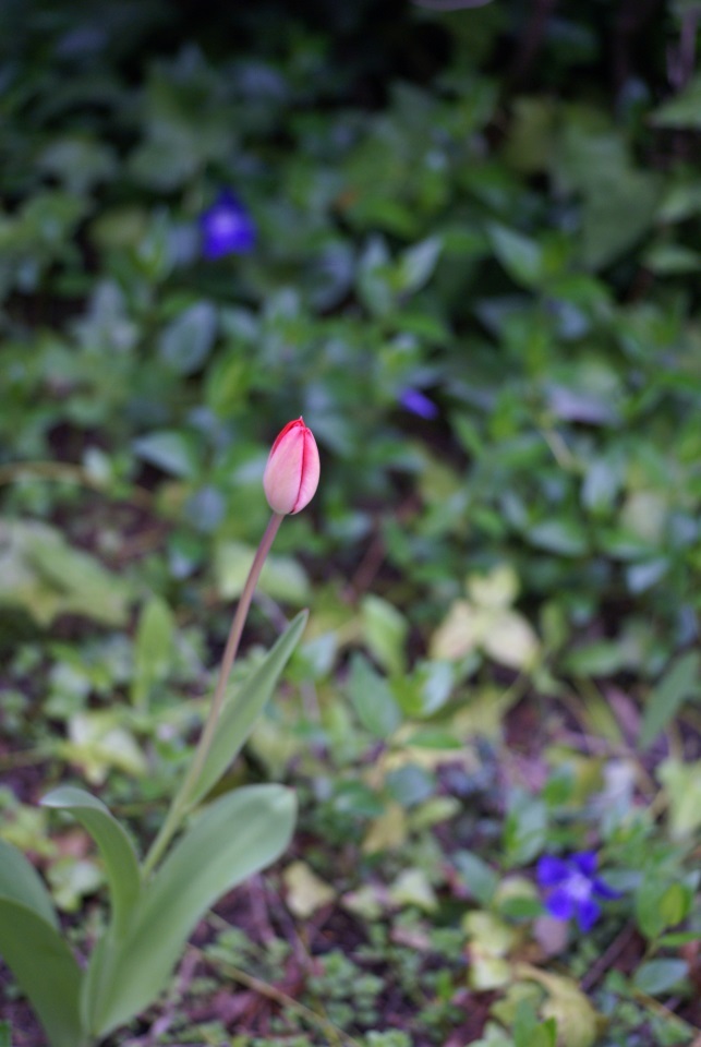 DSC01302.JPG