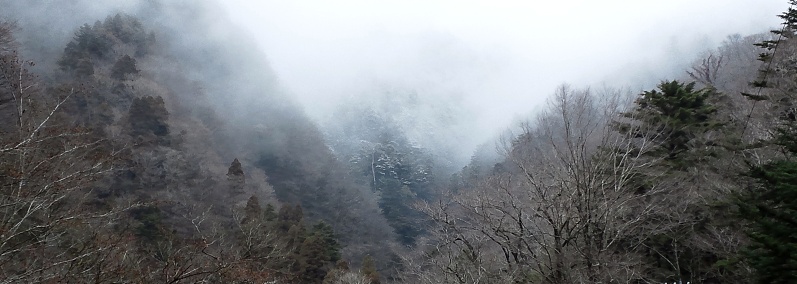 DSC_0188-2.jpg