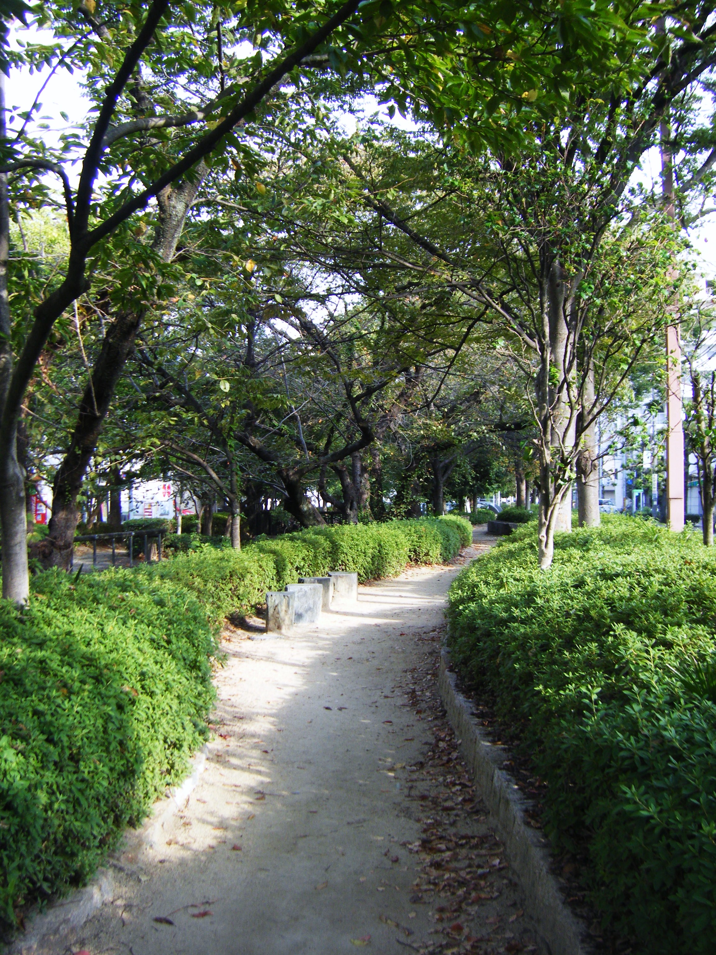 DSCF1156.jpg