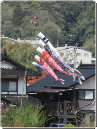 0028鯉のぼり（吉田口付近）_0028.jpg