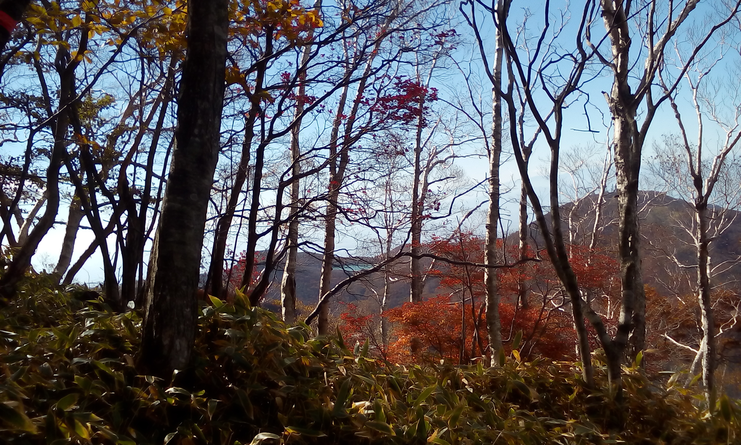 IMG_20151013_095538.jpg