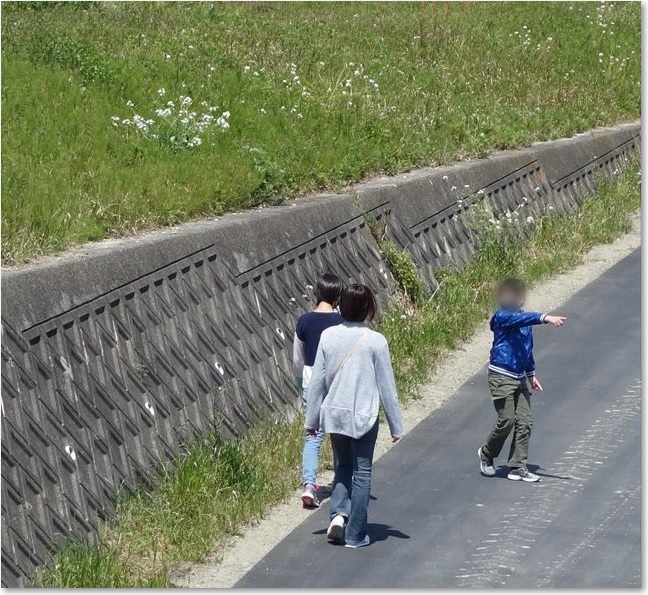 44川沿いの親子R