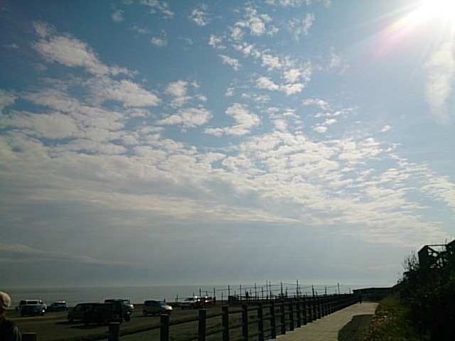 20150429  DSC_0004.jpg