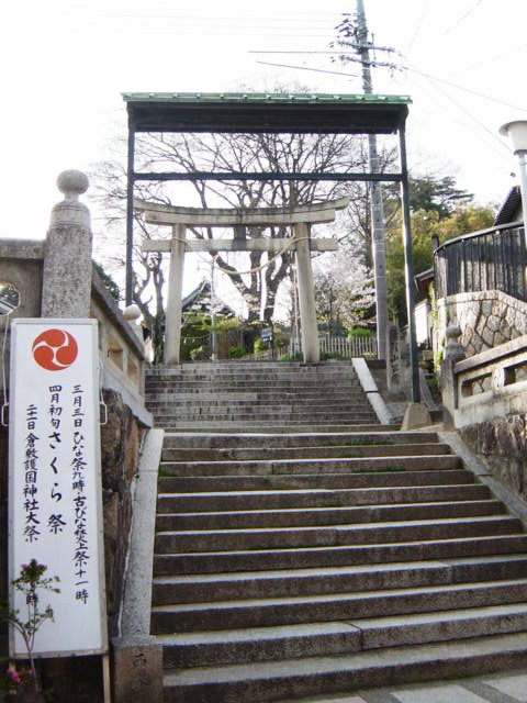 DSC06976.JPG