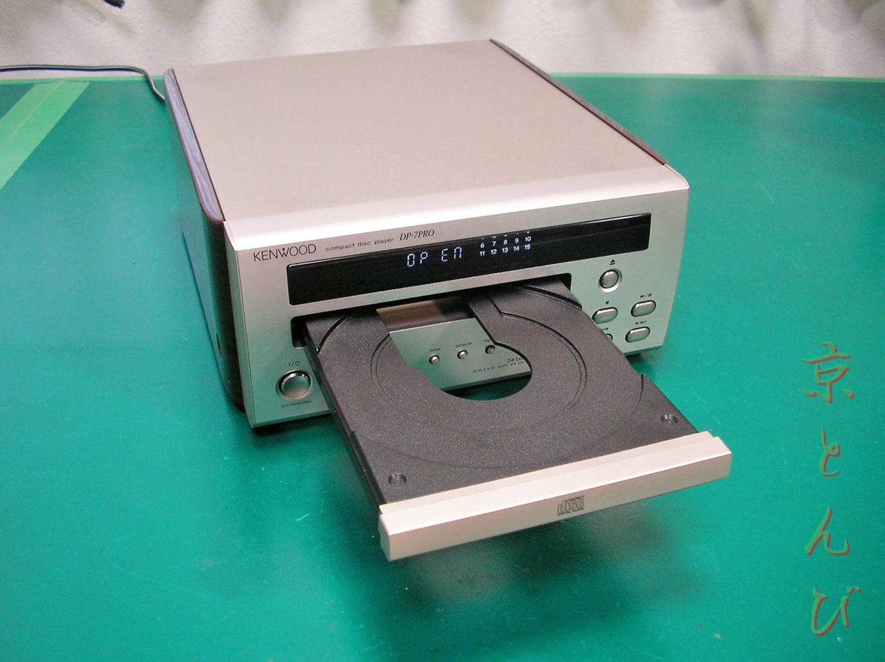 SANY0924.JPG