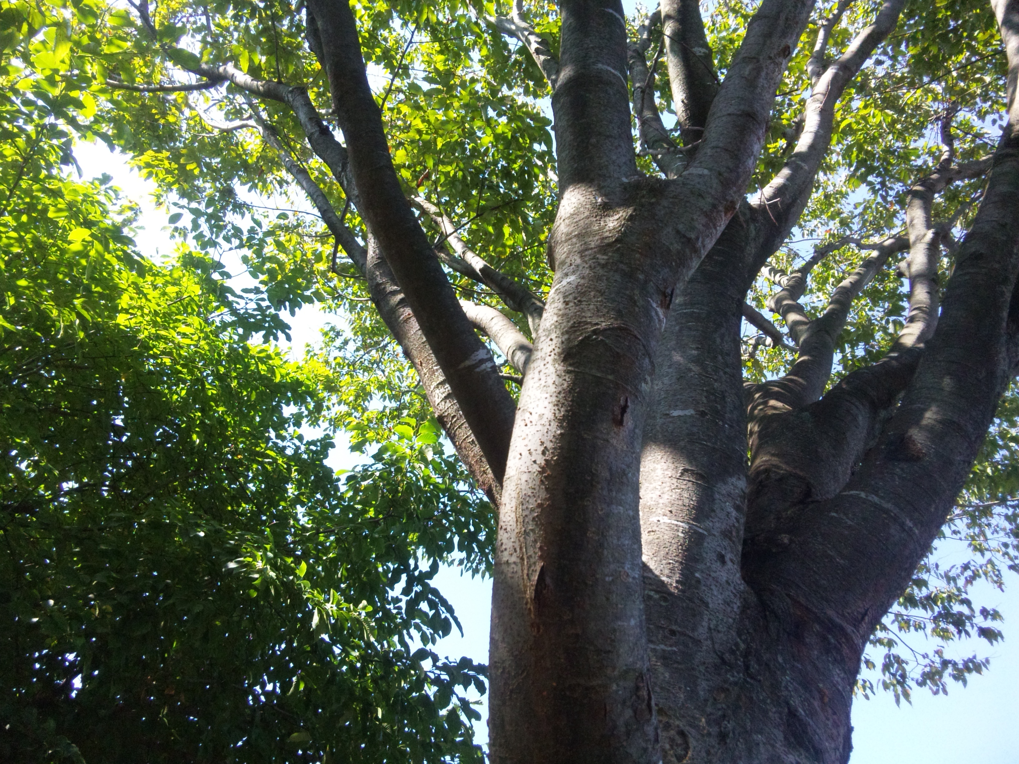 DVC00002  20120825.JPG