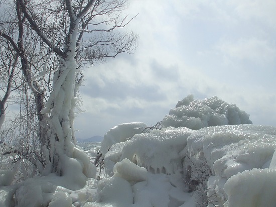 DSCF4615.jpg