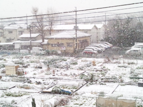 ２０１４年２月４日の雪