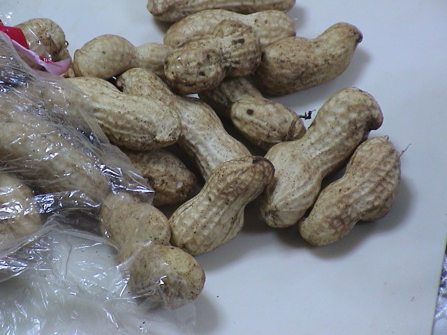 ピーナッツを茹でる (2).JPG