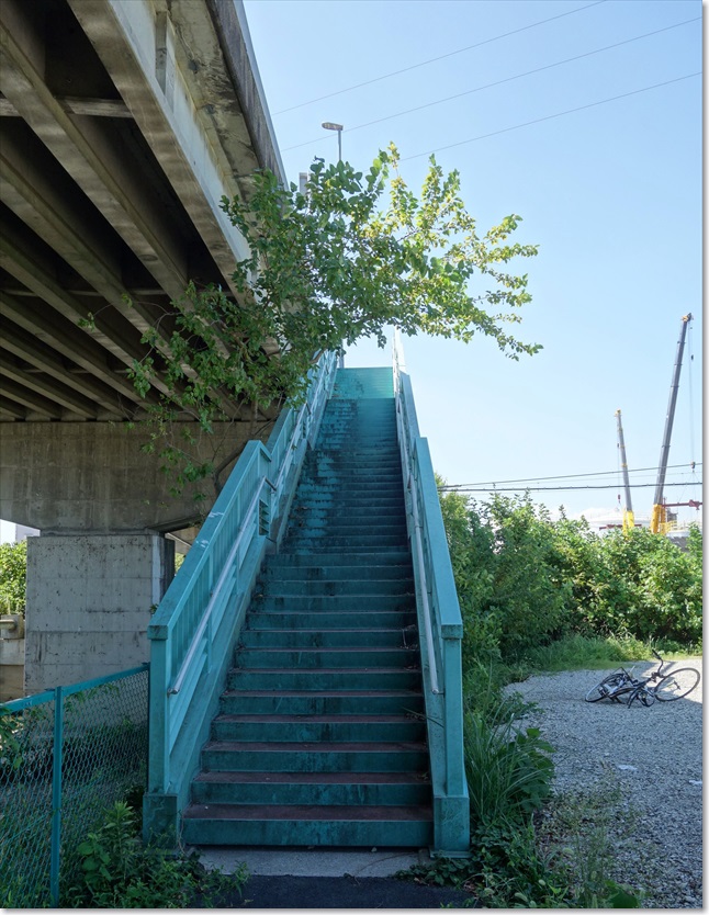 113ここを登るしかないようです