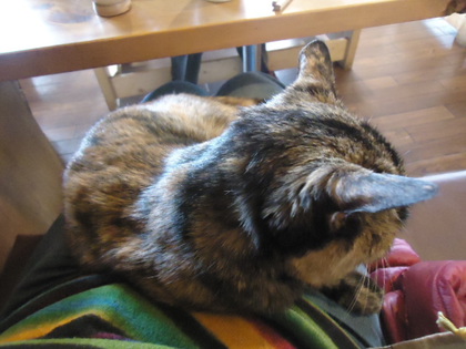 DSC08739.JPG