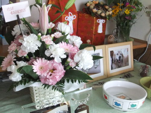 めぐじろーさんから