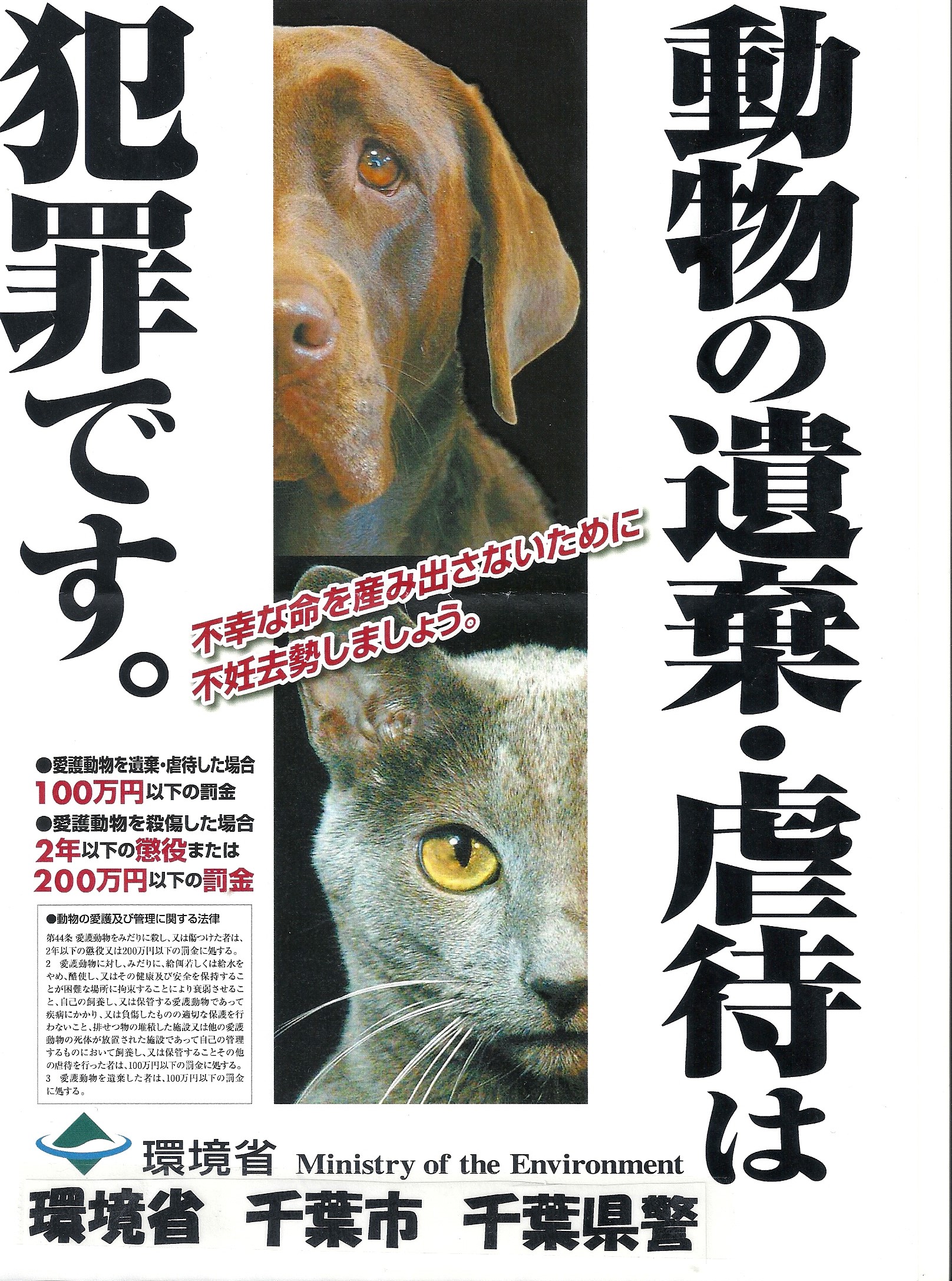 スキャン0002.jpg