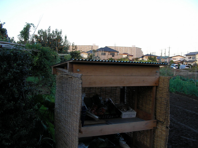 SANY0330.JPG