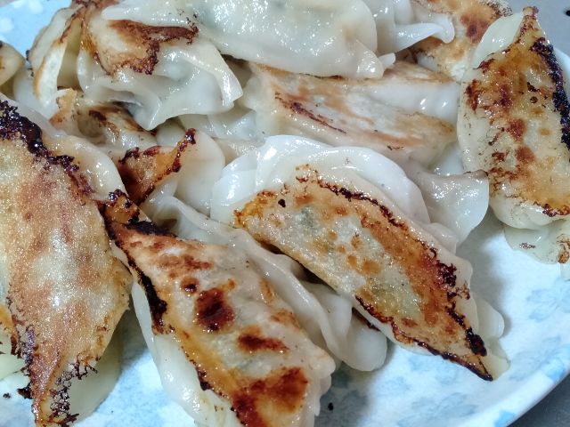 231108gyoza2.jpg