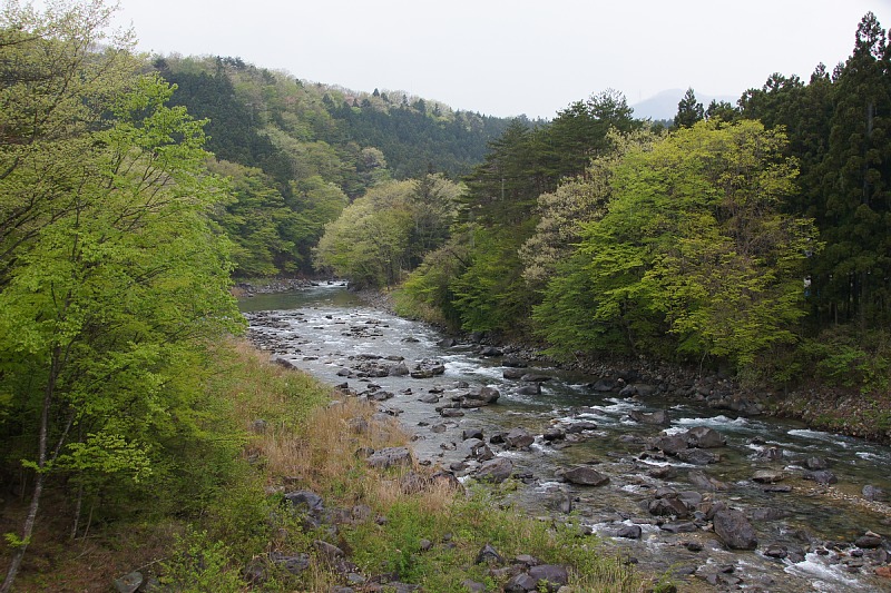 0501-7.jpg