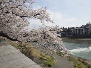 金沢の犀川