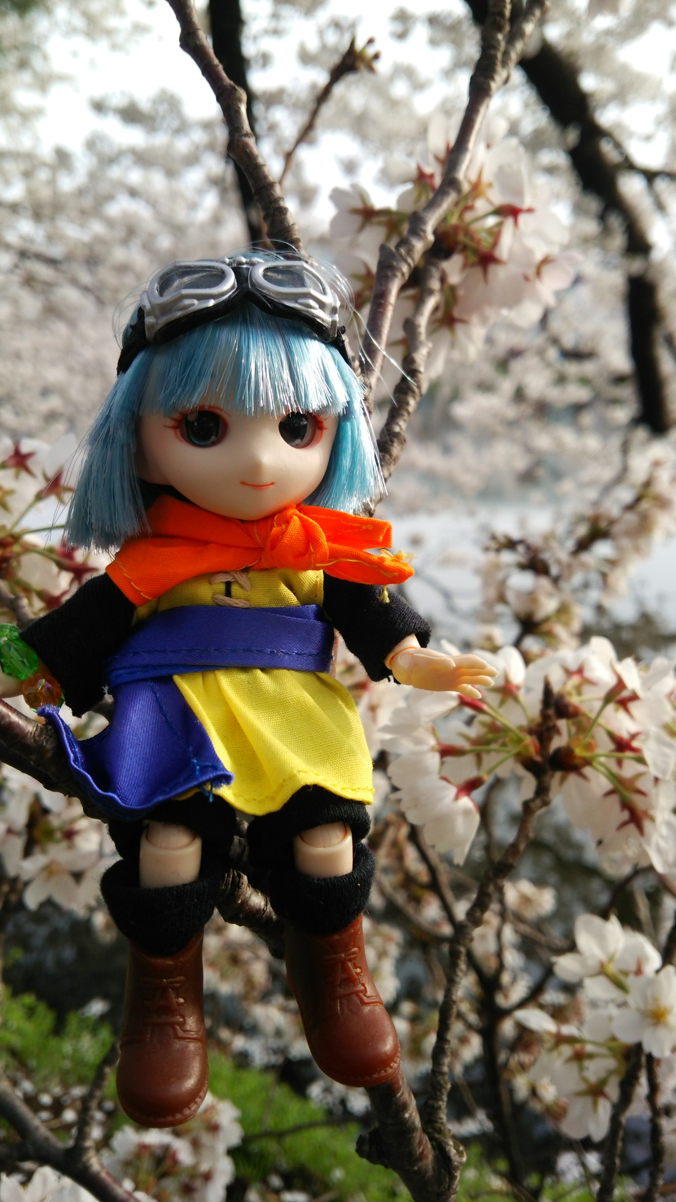 セラフィ08