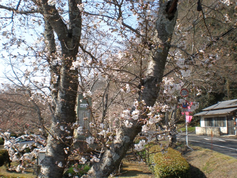 P3285897.jpg-1.jpg