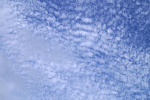 _DSC0798.JPG
