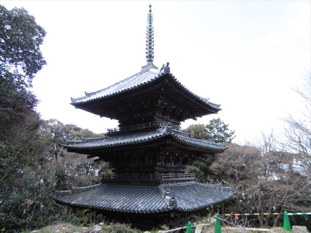 P1010131_R.JPG