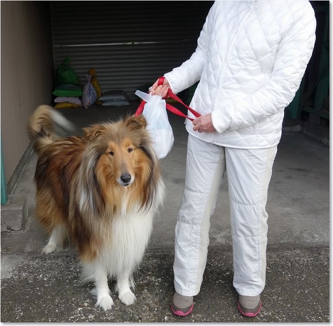 72奥さまと愛犬