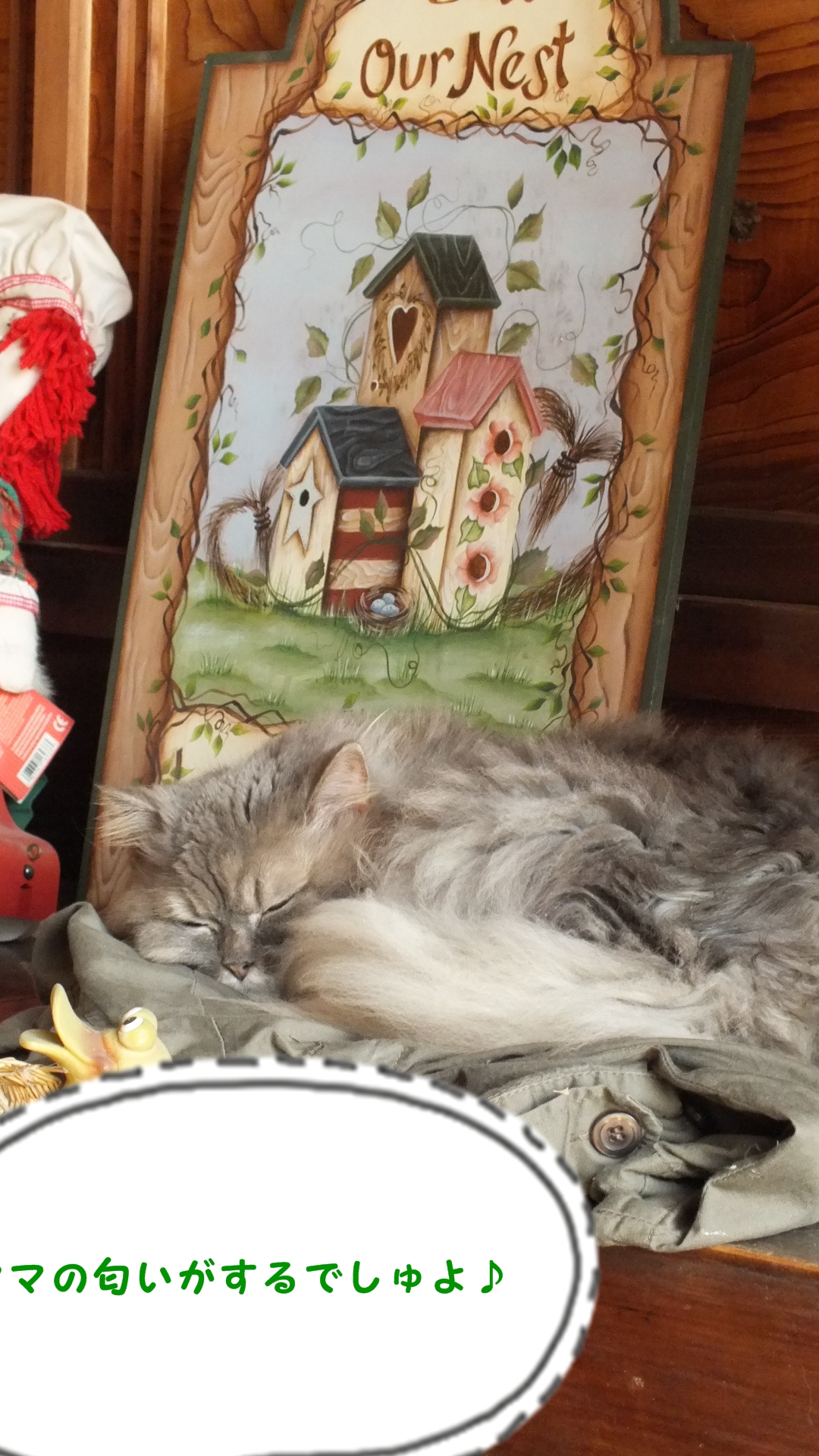 DSCF0925.JPG