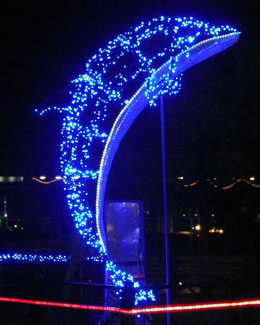 イルカ-20140501.jpg