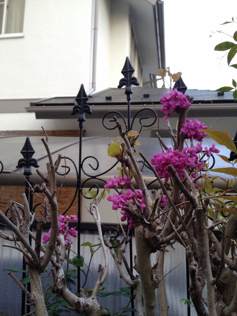 IMG_6901 (480x640).jpg